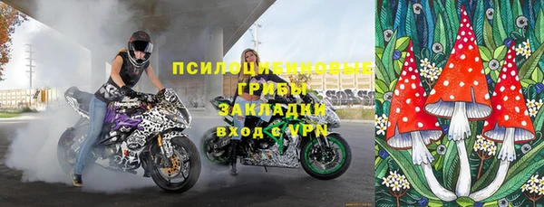 хмурый Богородицк