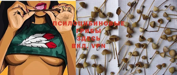 метадон Гусь-Хрустальный