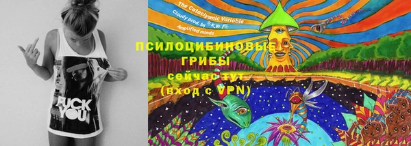 прущая мука Богданович