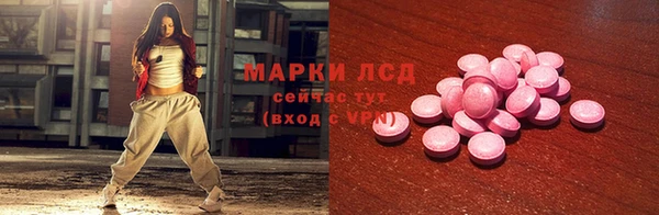 прущий лед Гусев